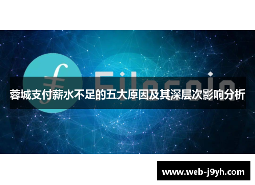 蓉城支付薪水不足的五大原因及其深层次影响分析