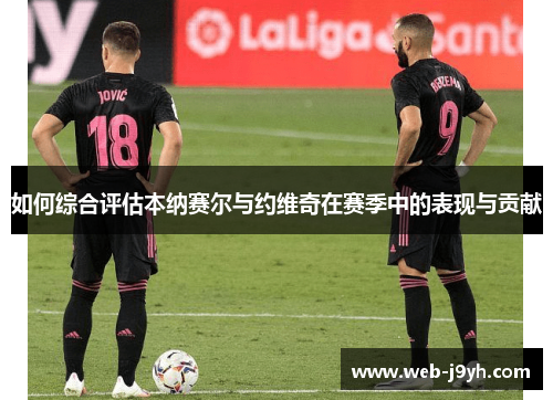 如何综合评估本纳赛尔与约维奇在赛季中的表现与贡献