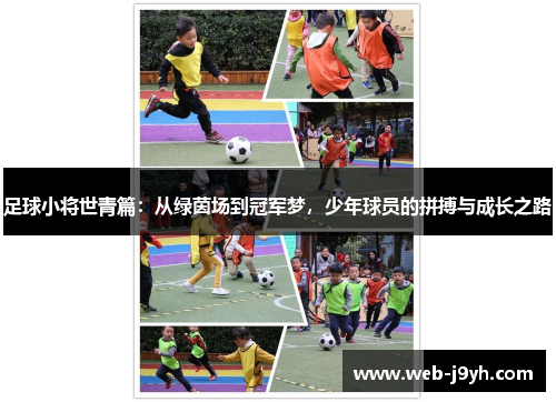 足球小将世青篇：从绿茵场到冠军梦，少年球员的拼搏与成长之路
